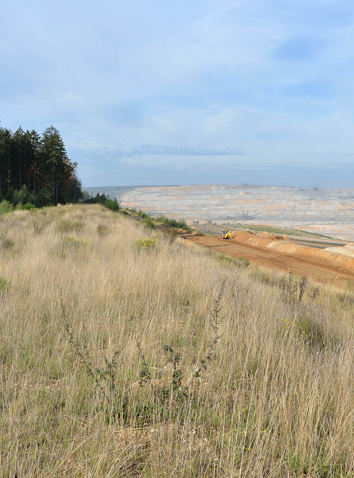 Die rund 4.200 ha große Tagebaugrube soll während der Seeentstehung vielfältig genutzt werden