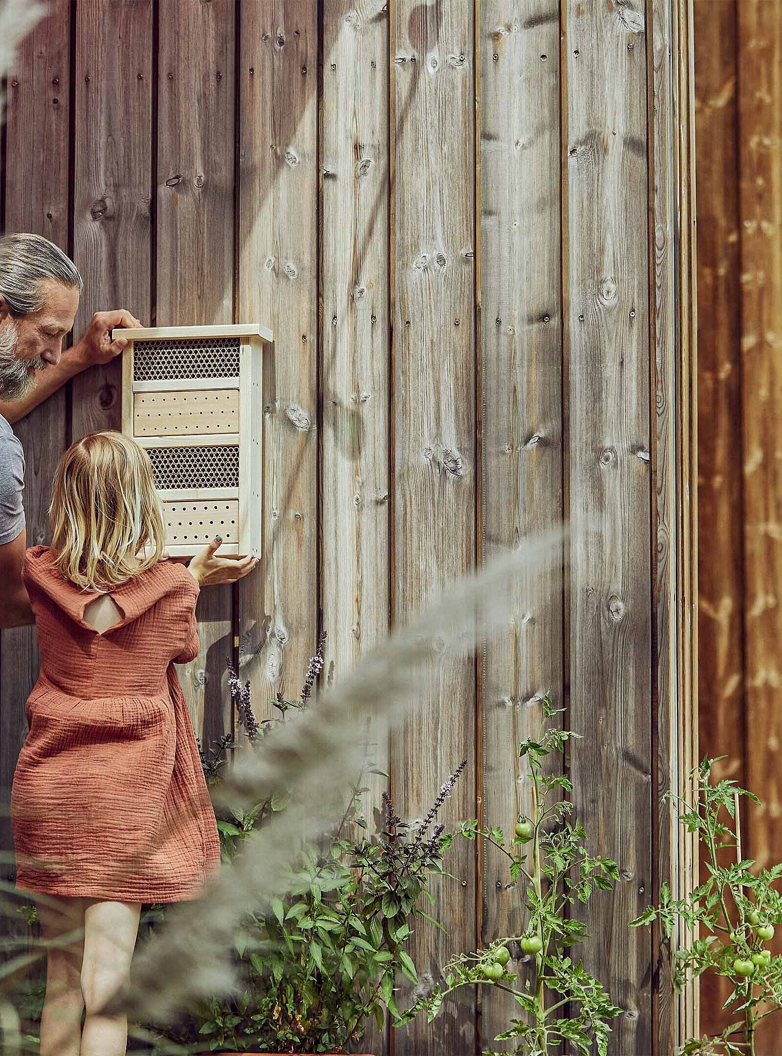 Vater und Tochter befestigen ein Insektenhotel